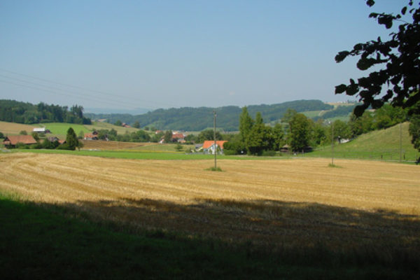 http://knonauer-amt.ch/wp-content/uploads/2016/06/Sommerlandsch-1Aug03-600x400.jpg