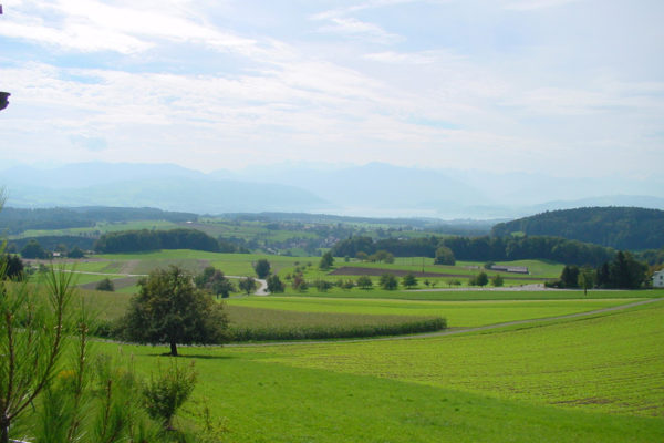 http://knonauer-amt.ch/wp-content/uploads/2016/06/Tal_v_Aeugst_Rg_Berge2-600x400.jpg