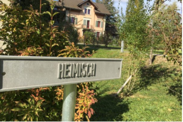 http://knonauer-amt.ch/wp-content/uploads/2016/06/Unbenannt-10-600x400.png