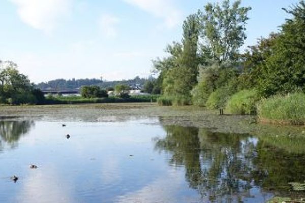 http://knonauer-amt.ch/wp-content/uploads/2016/06/Unbenannt-58-600x400.jpg