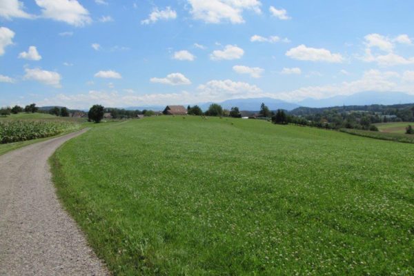 http://knonauer-amt.ch/wp-content/uploads/2016/06/obfelden_alpenblick-600x400.jpg