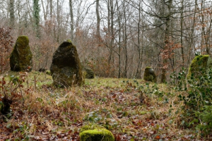https://knonauer-amt.ch/wp-content/uploads/2018/03/Steinkreis.400x300-1-300x200.png