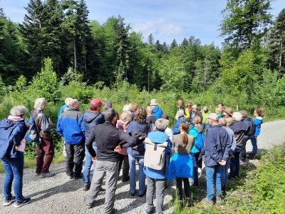 //knonauer-amt.ch/wp-content/uploads/2025/05/Wald-im-Wandel.jpg